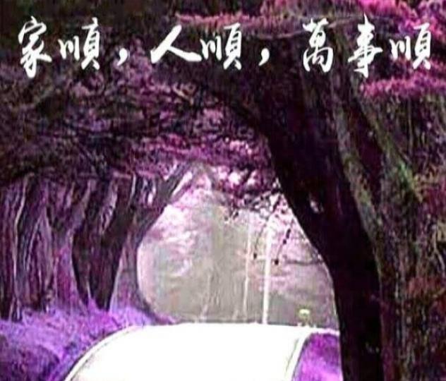 祝願朋友們
事事順利！...
