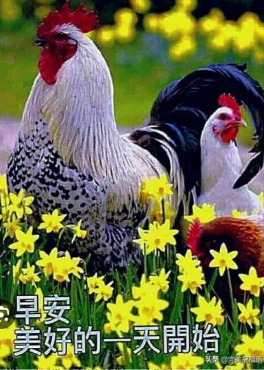 美好一天的開始，
大家早！...