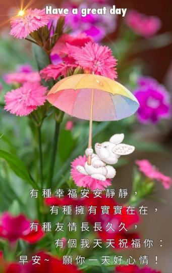 祝願大家幸福，
安康，好心情！...