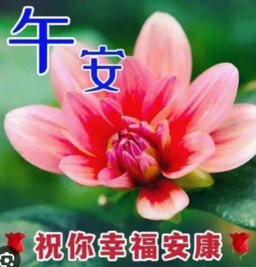 祝願大家
幸福安康！
午安！...