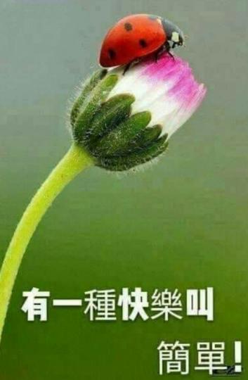 祝願大家
快樂安康！...