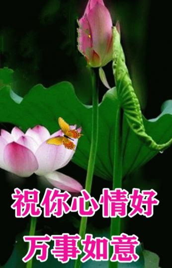 祝萬事如意，
平安吉祥！...