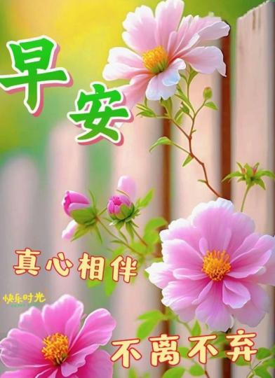 真心相伴，
朋友們早安！...