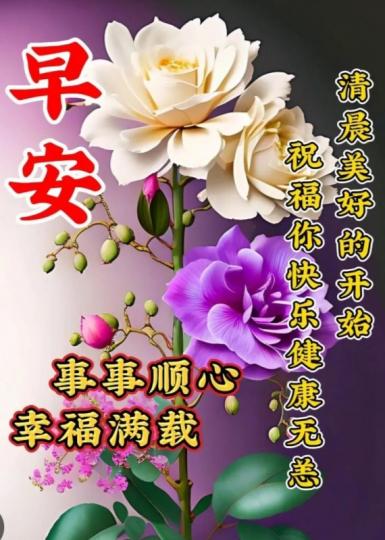 心態不老,
清晨美好,
朋友們早！...
