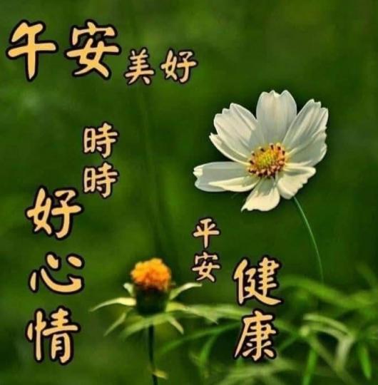 時時好心情，
平安健康！...