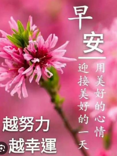 越努力，
越幸運。
朋友們早！...