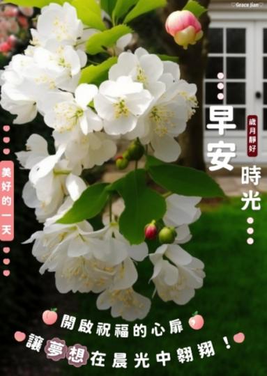 開啟祝福的心扉，
讓夢想在晨光中飛翔！...