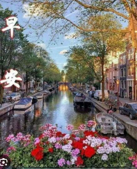 清新空氣，
花開處處。
朋友們早！...