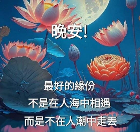 相遇的缘份，
朋友們晚安！...