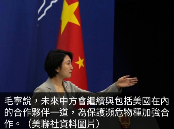 三隻大熊貓將
回中國,中方稱續
與合作夥伴保護瀕危物種....
