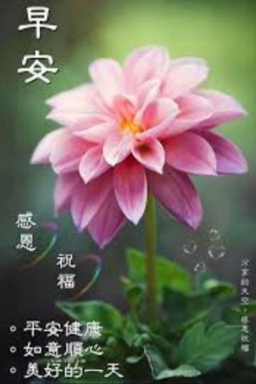 平安健康
每一天，
朋友早！...