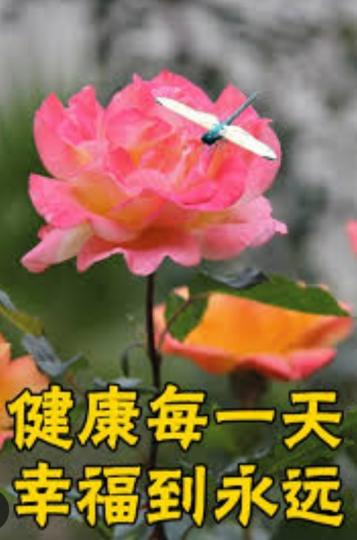 健康每一天，
朋友們好！...