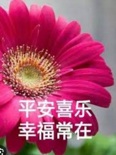 平安喜樂，
幸福常在！...
