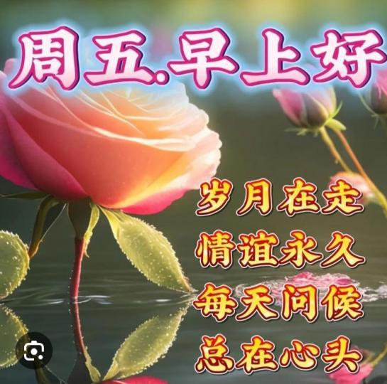 朋友們早,
祝願平安健康！...