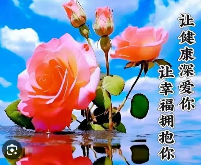 祝願朋友們
健康幸福！...