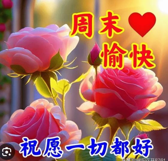 祝願朋友們
一切安好！...