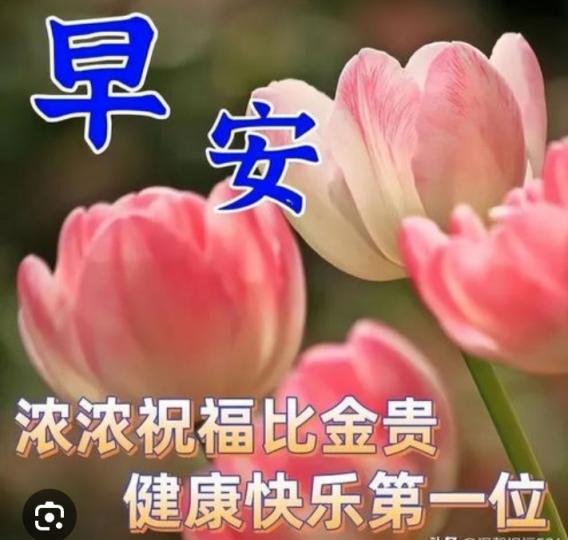 健康快樂
第一位！
朋友好！...