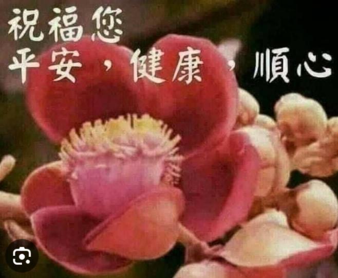 祝願大家
平安健康！...