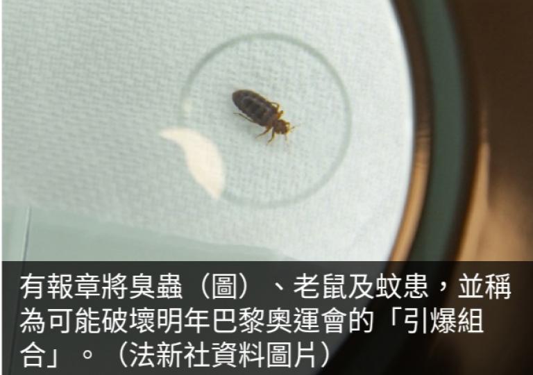 《環看天下》：法國
臭蟲為患,　鄰近地區加強消毒....