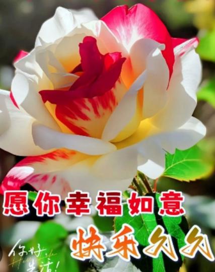 祝願朋友們
幸福如意！...