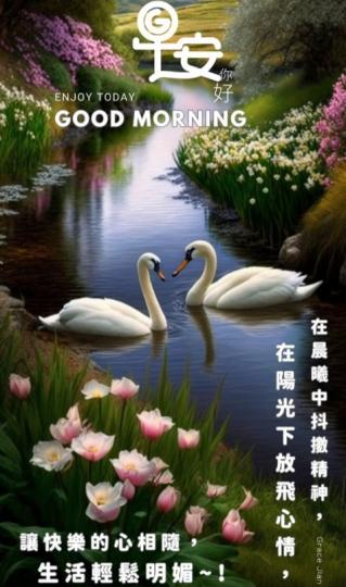 抖擻精神，
放飛心情，
朋友早！...