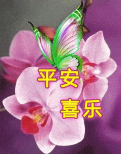 祝願大家
平安喜樂！
早上好！...