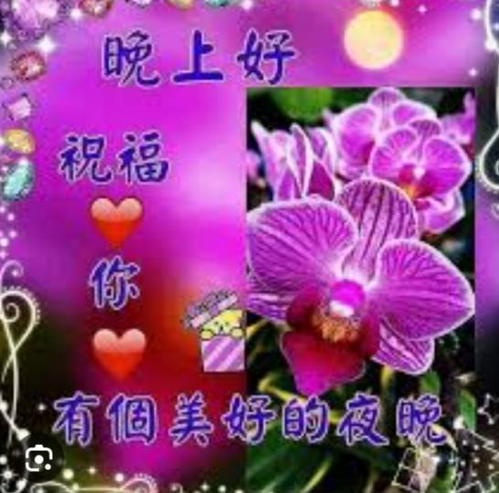 祝願大家
愉快, 安康！...