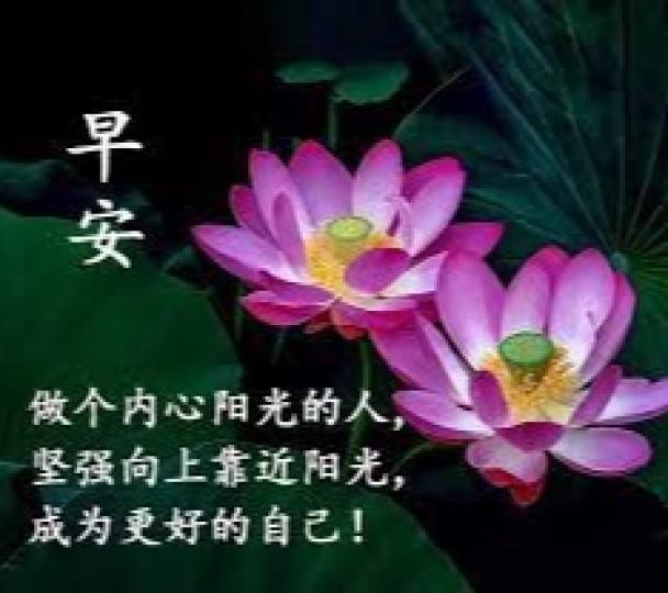 內心堅強，
充滿活力，
朋友們早！...
