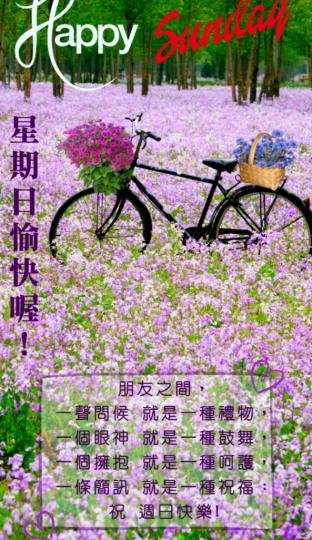 一條簡訊，
一種祝福！
大家早！...