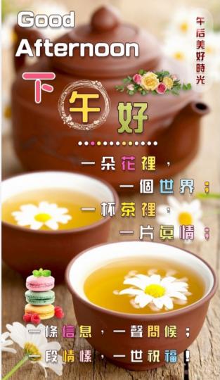 一朵花，
一杯茶，
朋友午安！...