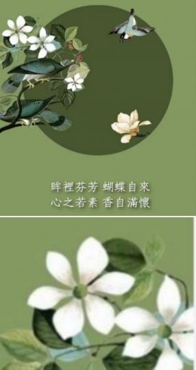 眸裡芬芳，
蝴蝶自來；
心之若素，
香自滿懷！...