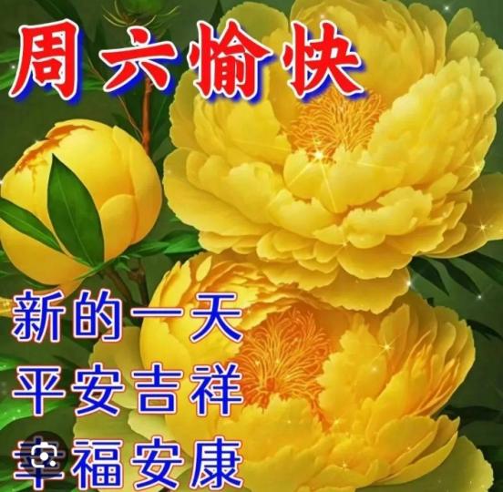 周六愉快，
幸福安康！...