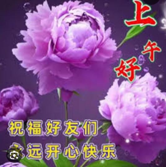 祝願開心快樂，
朋友早！...