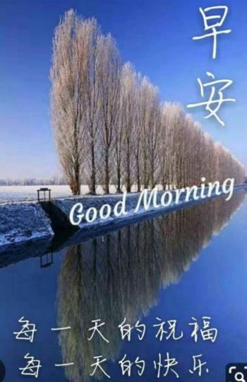 筆直的
一排樹。
朋友們早！...