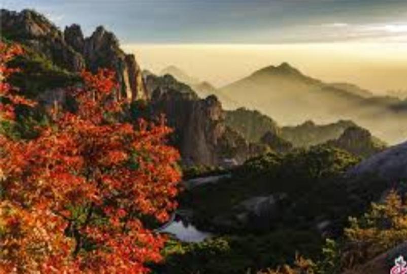 秋天的黃山，
身扮千色，
美如畫！...