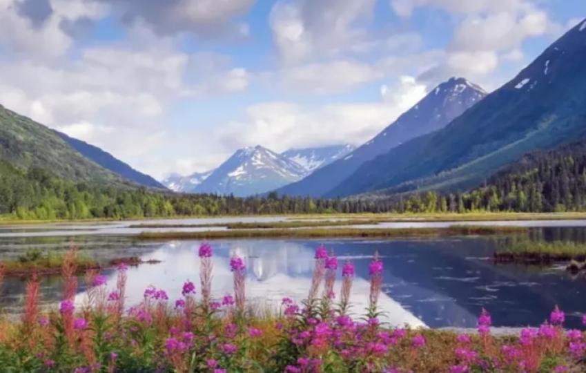 珍惜自然
美景，感受
美好風光！...