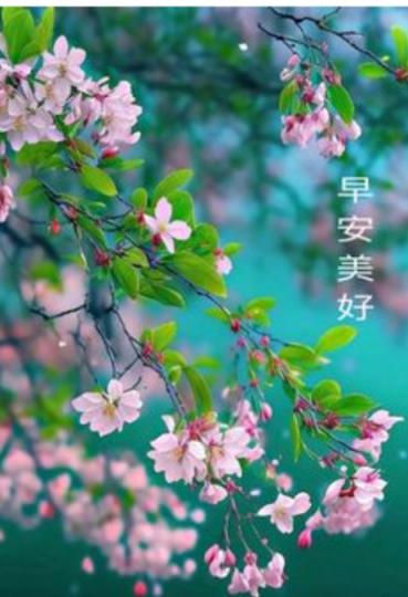 祝願身體
健康，幸福
滿滿！...