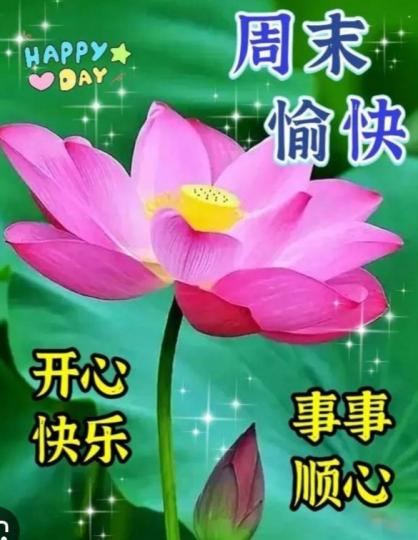 周末愉快，
事事開心，快樂！...