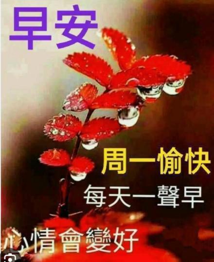 祝福朋友
一聲早，
心情更美好！...