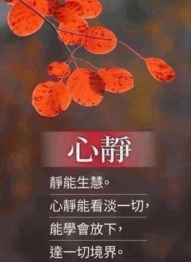 靜能生慧，
學懂放下！...