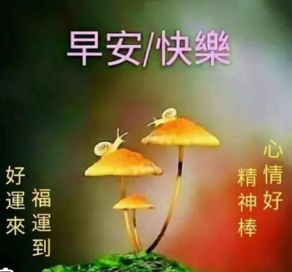 祝願大家
心情好，
事事順！...