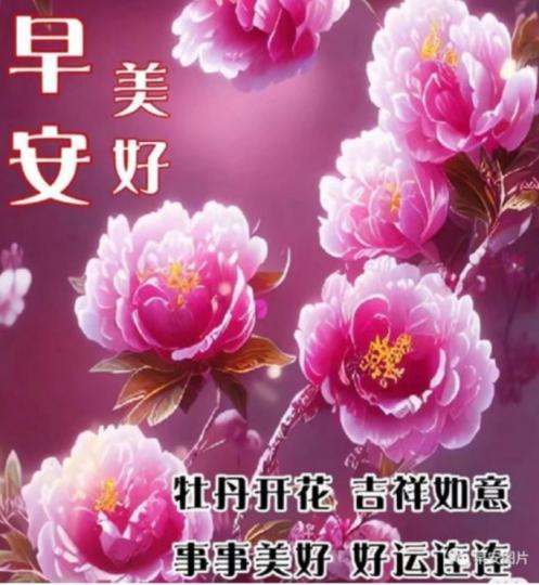 祝願朋友
好運連連！...