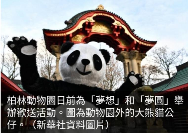 在德國出生的大
熊貓雙胞胎啟程回國...