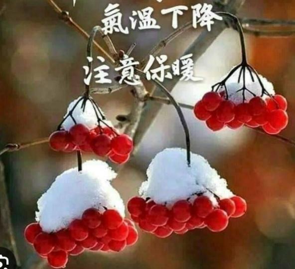 平安健康
就是福！
朋友好！...