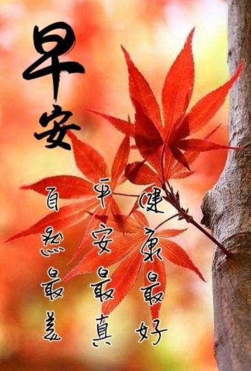 朋友們早，
祝願健康平安！...