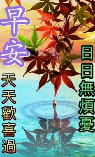 日日歡喜過，
朋友們好！...