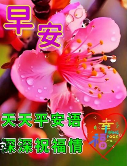 祝願平安
健康，朋友早！...