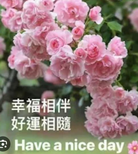 幸福相伴，
好運相隨！...