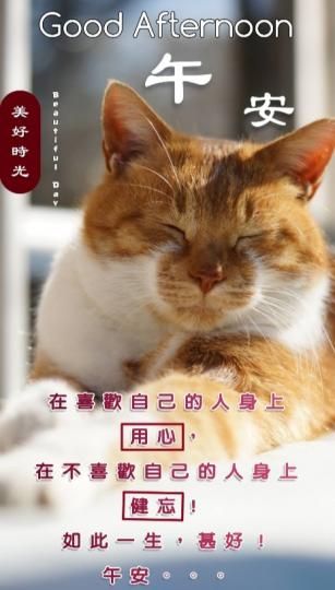 美好的時光,
朋友們午安！...