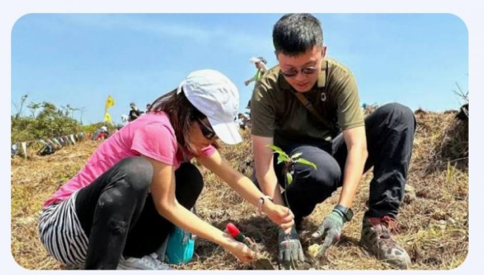 郊野公園遠足植樹日2024｜不需預先報名　漁護署即場提供樹苗工具...